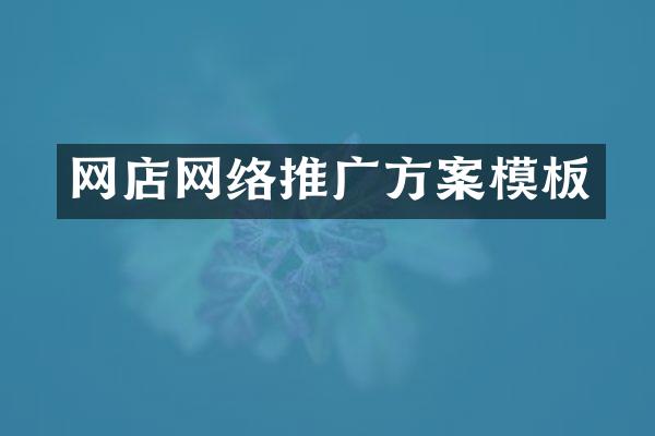 网店网络推广方案模板
