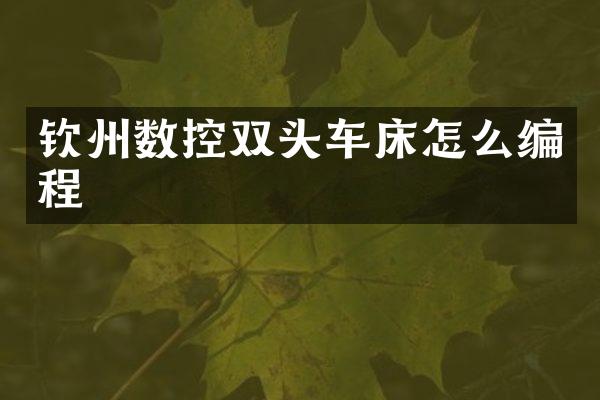 钦州数控双头车床怎么编程