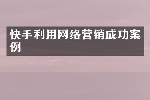 快手利用网络营销成功案例