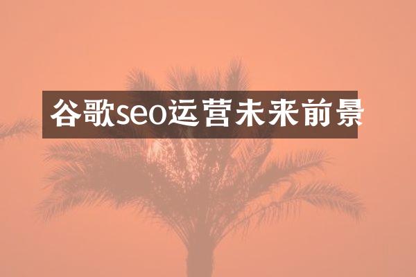 谷歌seo运营未来前景