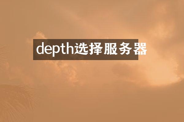 depth选择服务器
