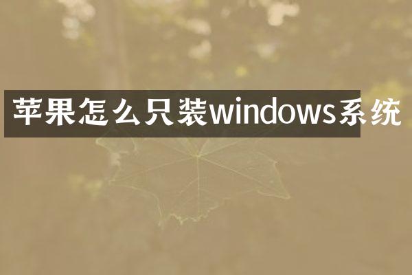 苹果怎么只装windows系统