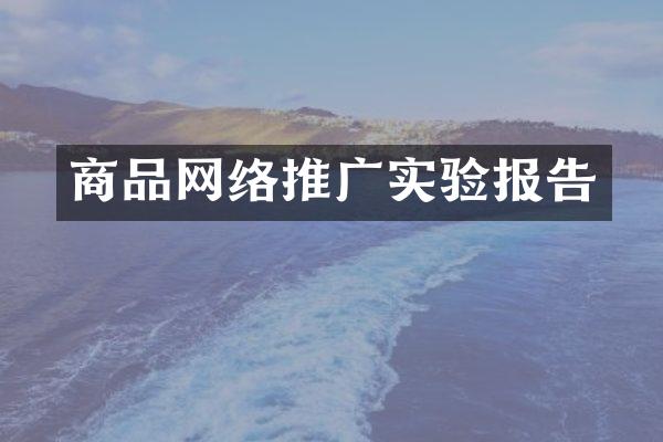 商品网络推广实验报告