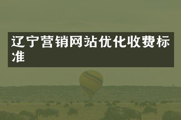 辽宁营销网站优化收费标准
