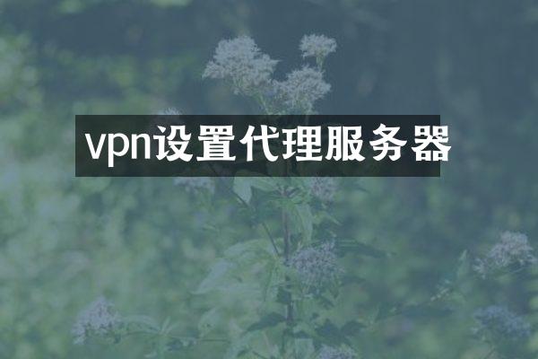 vpn设置代理服务器