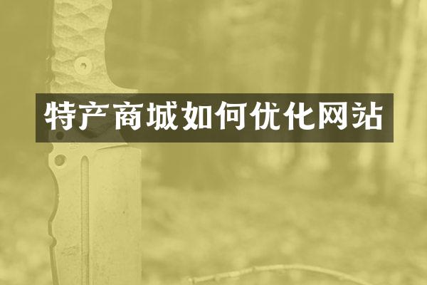特产商城如何优化网站