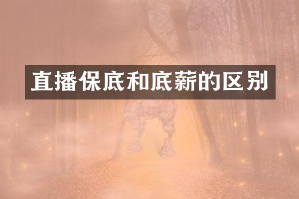 直播保底和底薪的区别
