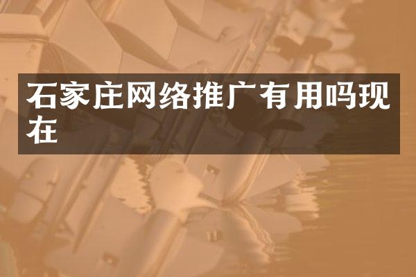 石家庄网络推广有用吗现在