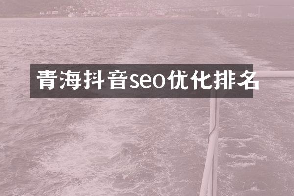 青海抖音seo优化排名