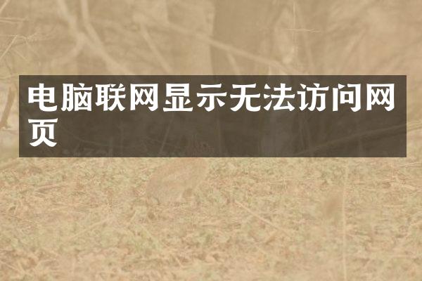 电脑联网显示无法访问网页