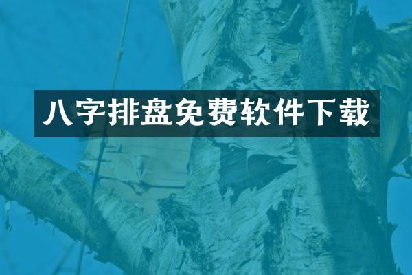 八字排盘免费软件下载