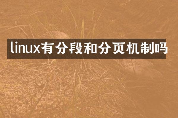 linux有分段和分页机制吗
