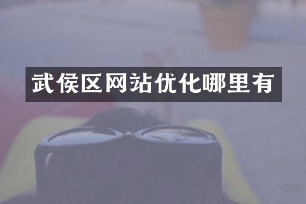 武侯区网站优化哪里有