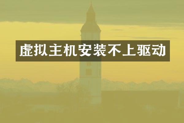 虚拟主机安装不上驱动