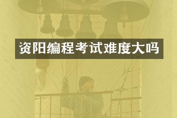 资阳编程考试难度大吗