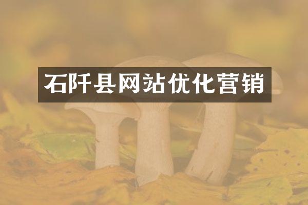 石阡县网站优化营销
