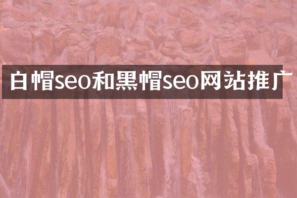 白帽seo和黑帽seo网站推广