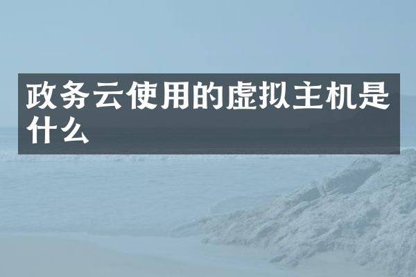 政务云使用的虚拟主机是什么