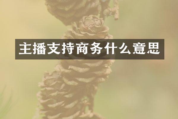 主播支持商务什么意思