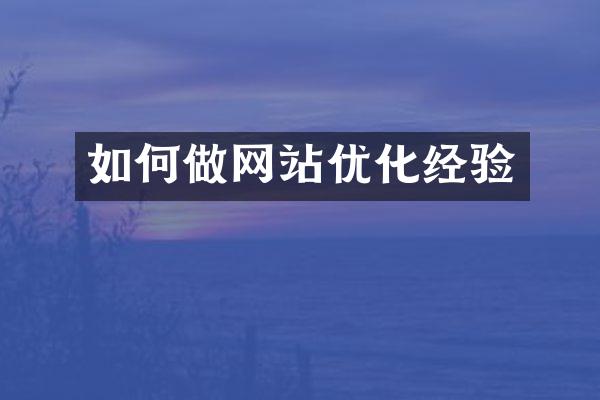 如何做网站优化经验