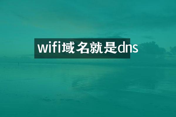 wifi域名就是dns