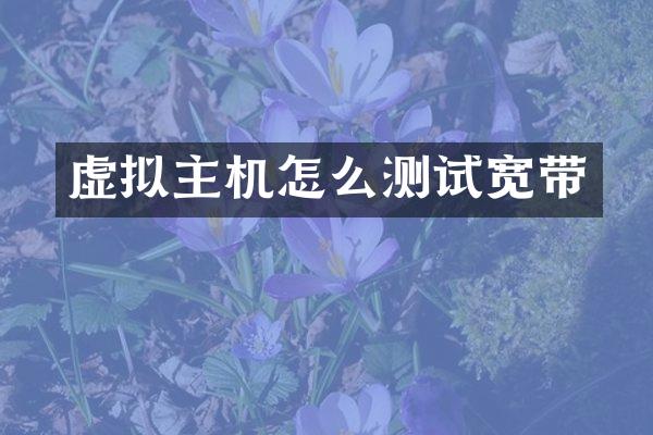 虚拟主机怎么测试宽带