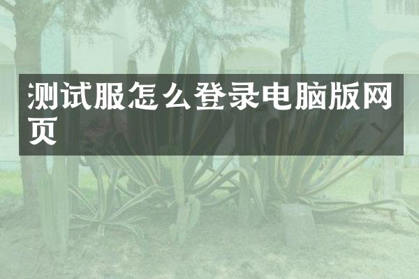 测试服怎么登录电脑版网页