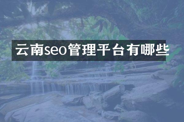 云南seo管理平台有哪些
