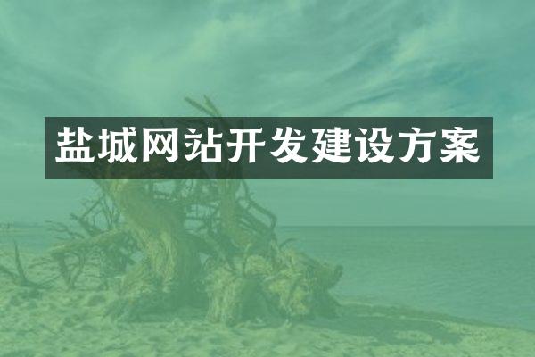 盐城网站开发建设方案