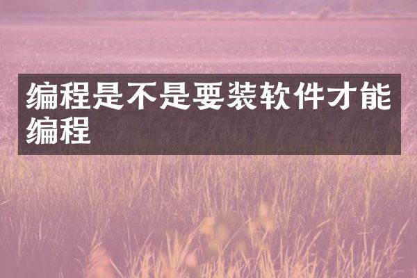 编程是不是要装软件才能编程
