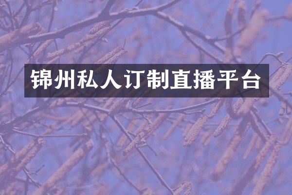 锦州私人订制直播平台