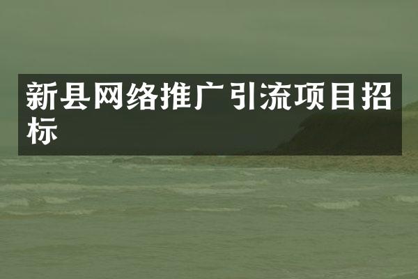新县网络推广引流项目招标