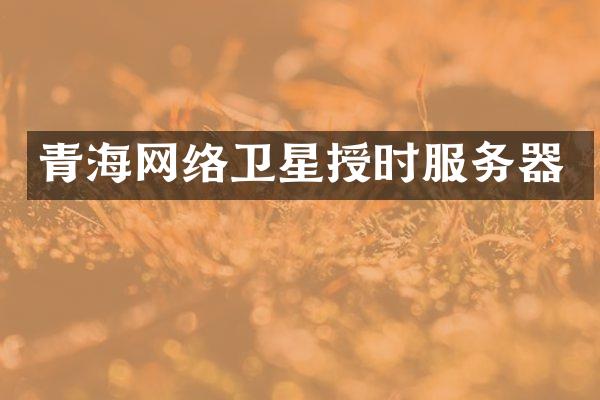 青海网络卫星授时服务器