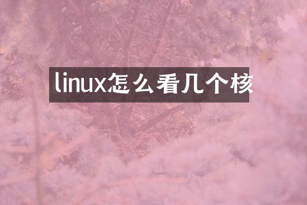 linux怎么看几个核