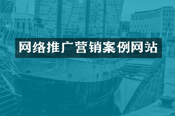 网络推广营销案例网站