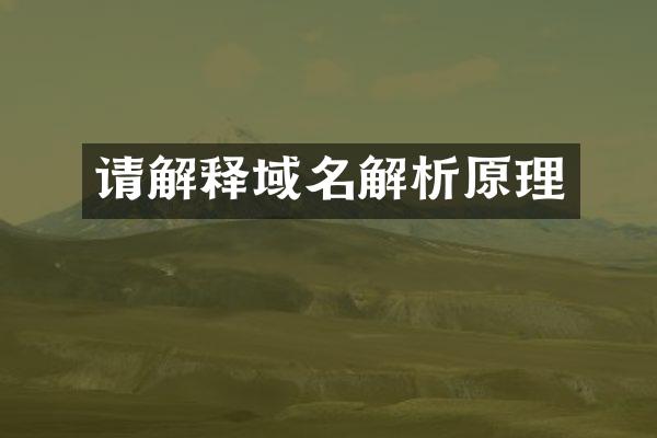 请解释域名解析原理
