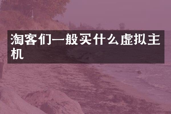 淘客们一般买什么虚拟主机