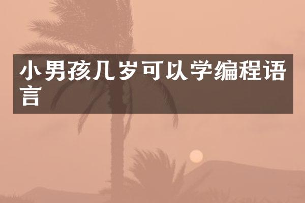 小男孩几岁可以学编程语言