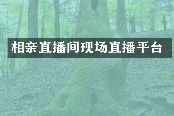 相亲直播间现场直播平台