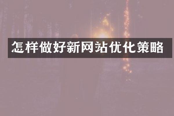 怎样做好新网站优化策略