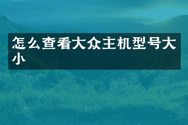 怎么查看大众主机型号大小