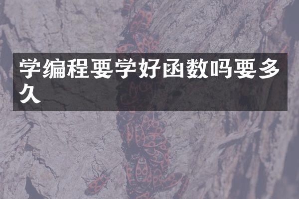 学编程要学好函数吗要多久