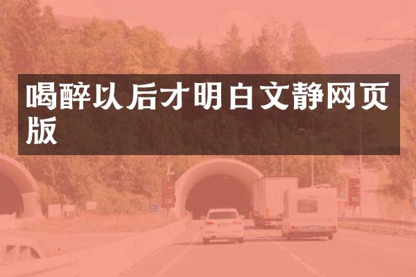 喝醉以后才明白文静网页版