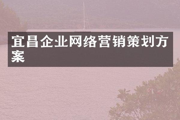 宜昌企业网络营销策划方案
