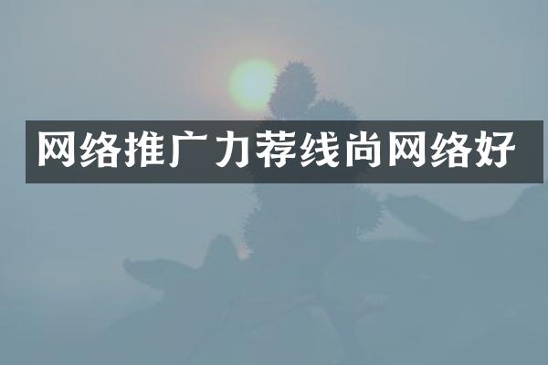 网络推广力荐线尚网络好