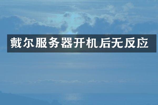 戴尔服务器开机后无反应