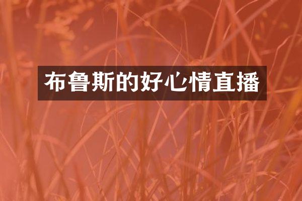 布鲁斯的好心情直播