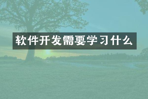 软件开发需要学习什么