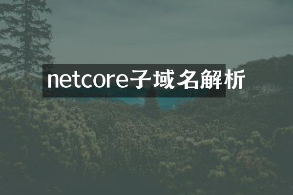 netcore子域名解析