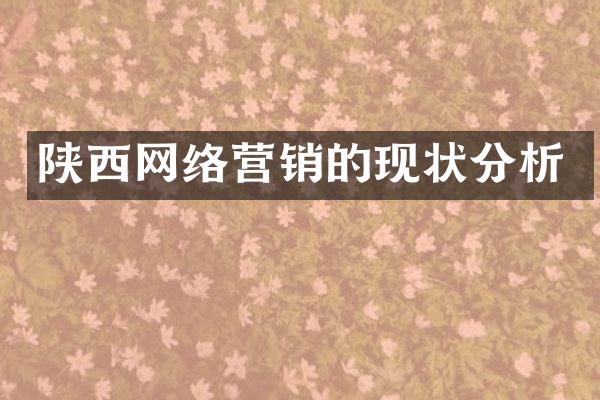 陕西网络营销的现状分析